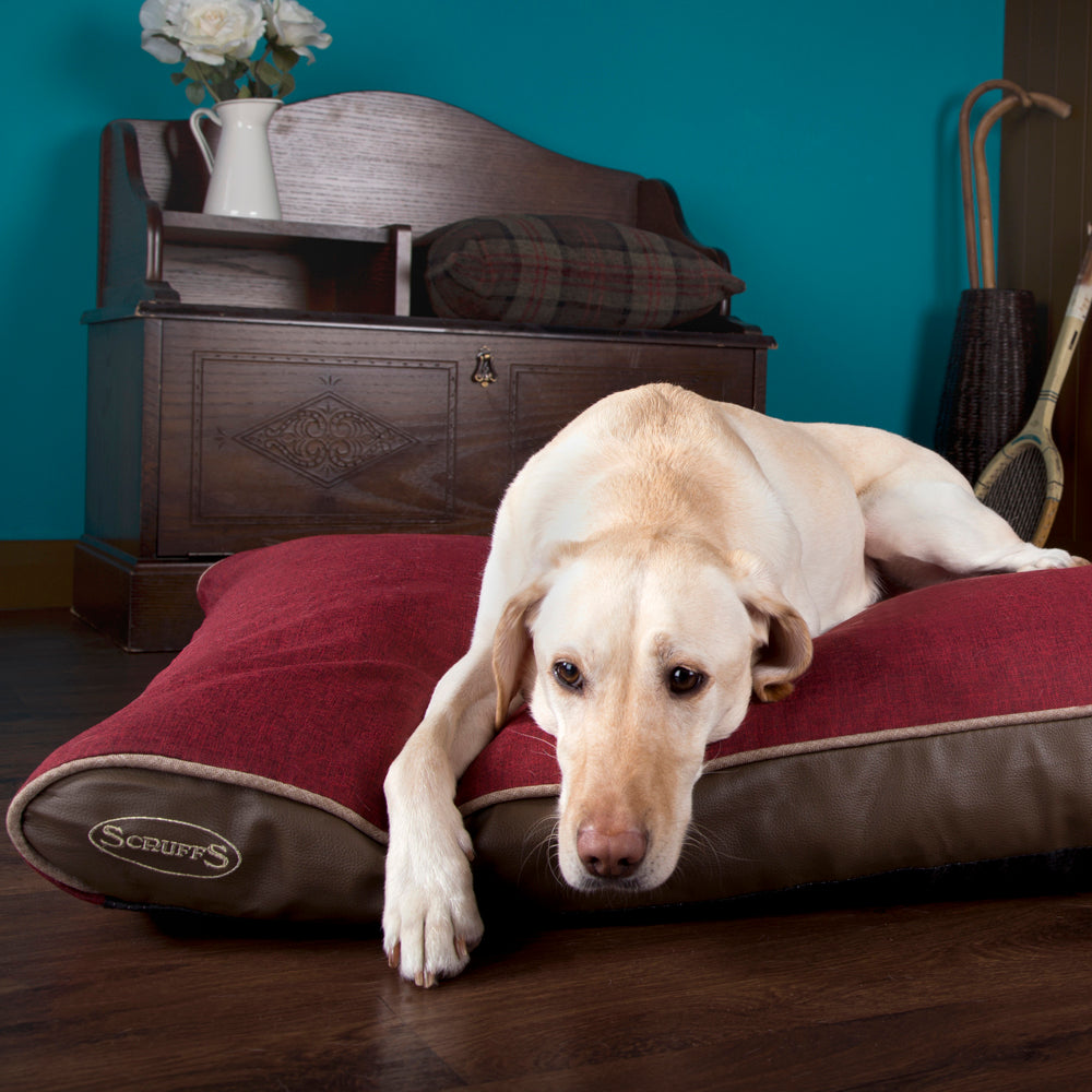 Hilton Luxury Orthopaedic Pet Mattress