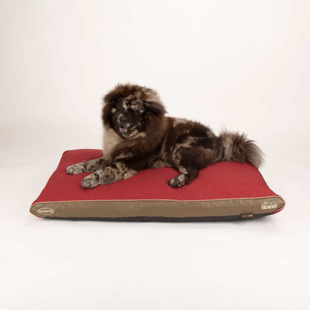 Hilton Luxury Orthopaedic Pet Mattress
