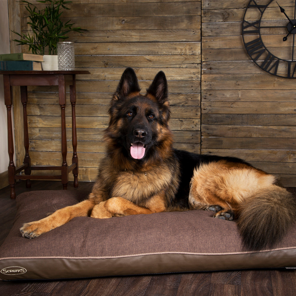 Hilton Luxury Orthopaedic Pet Mattress