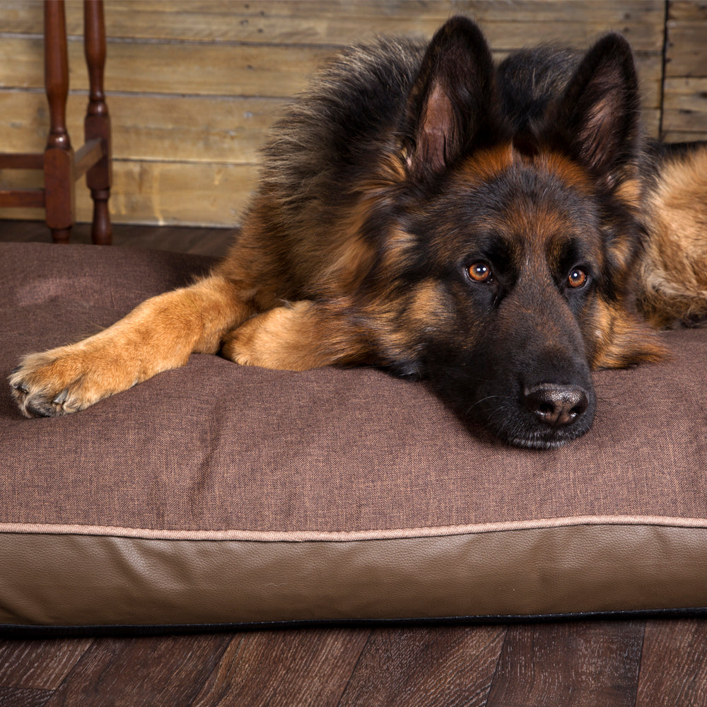 Hilton Luxury Orthopaedic Pet Mattress