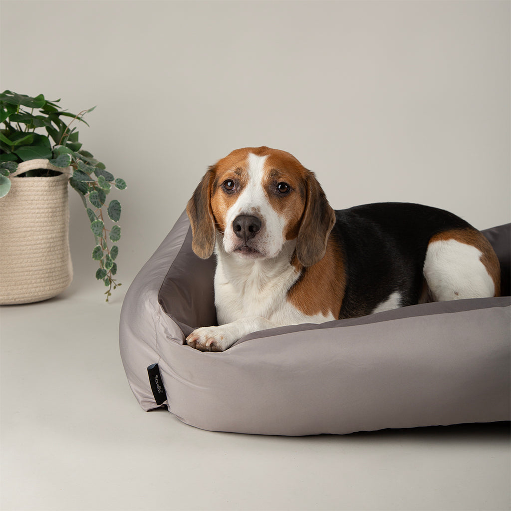 Expedition Waterproof Box Bed