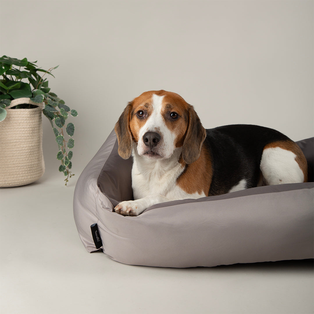 Expedition Waterproof Box Bed