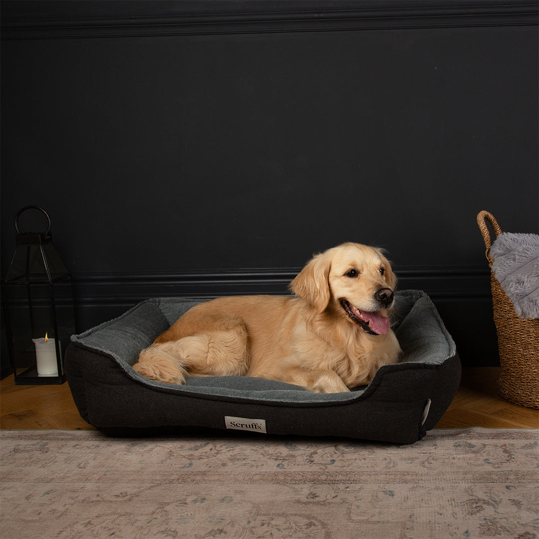 Harvard Memory Foam Orthopaedic Dog Box Bed
