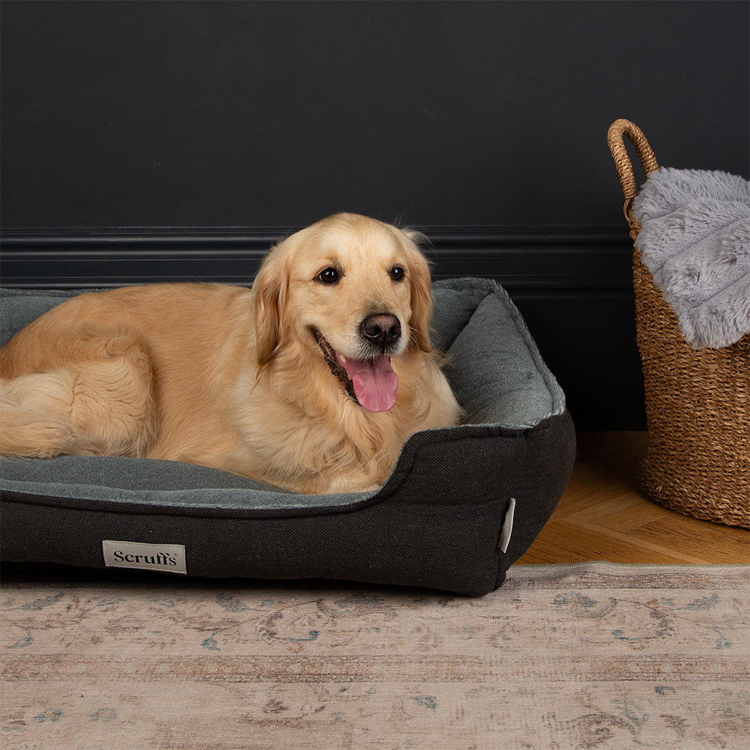 Harvard Memory Foam Orthopaedic Dog Box Bed