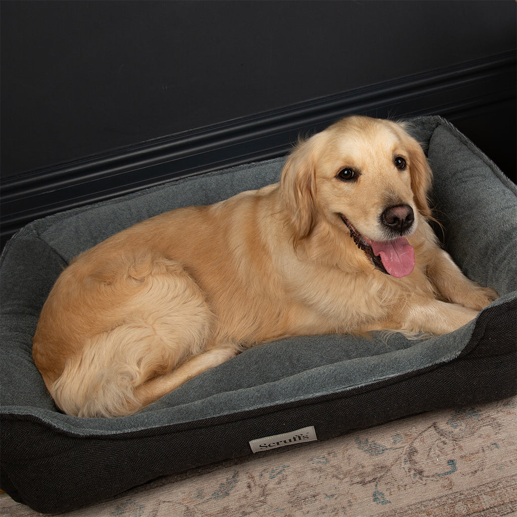 Harvard Memory Foam Orthopaedic Dog Box Bed