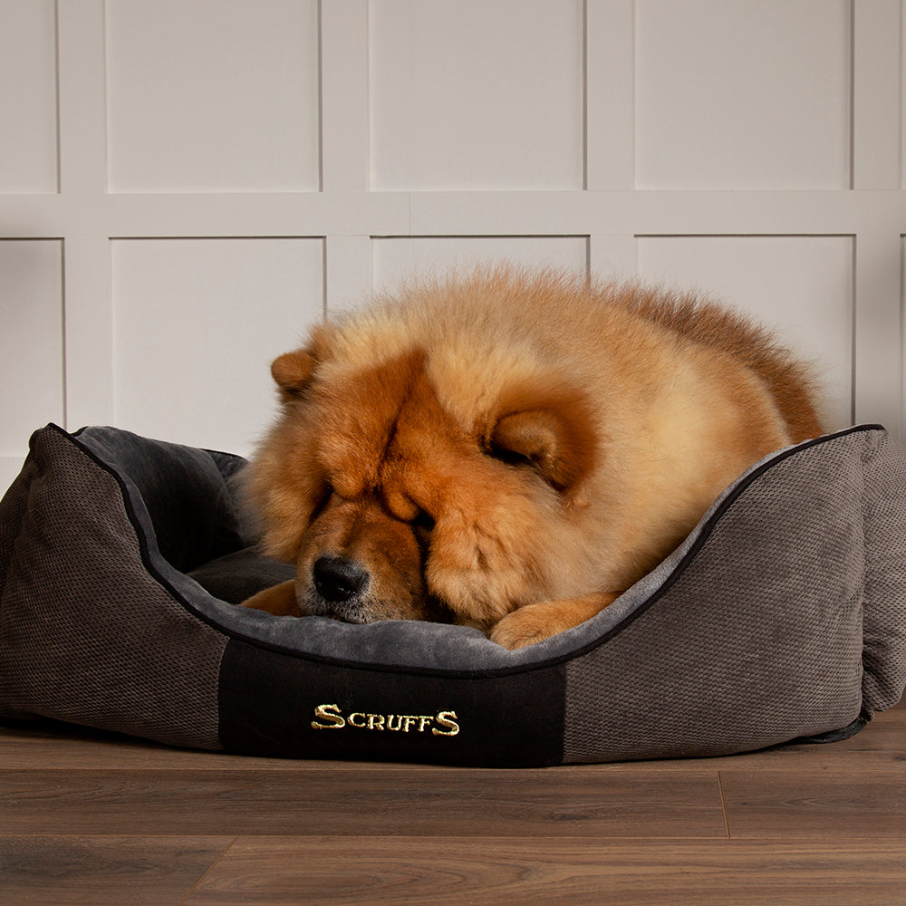 Chester Chenille Box Bed